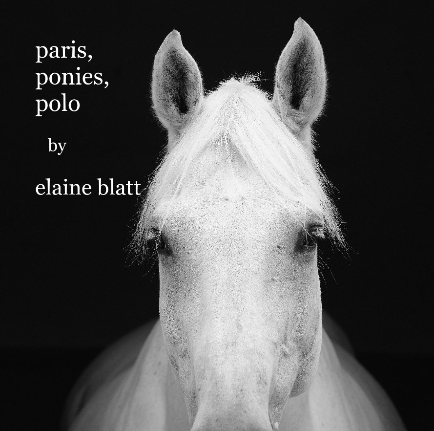 View paris, ponies, polo by elaine blatt by lanieblatt