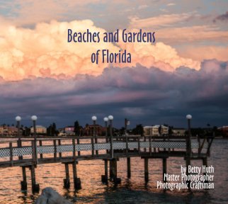 Beaches and Gardens of Florida book cover