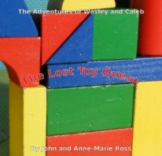 The Lost Toy Quest book cover