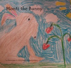 Monti the Bunny book cover