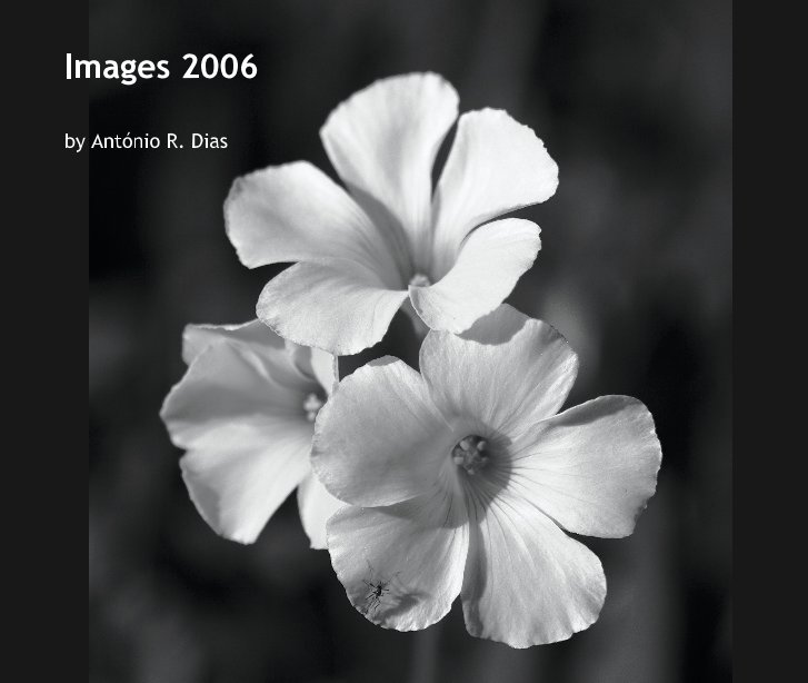 Visualizza Images 2006 di Antonio R. Dias