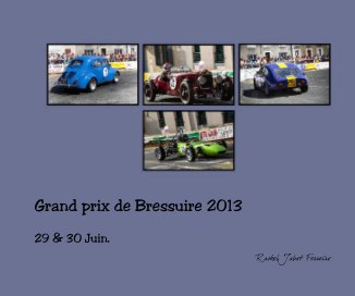 Grand prix de Bressuire 2013 book cover