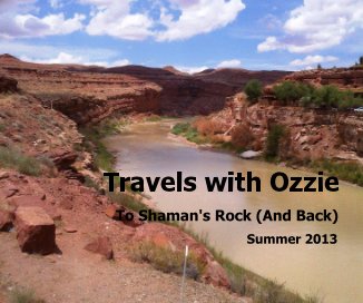 Travels with Ozzie book cover