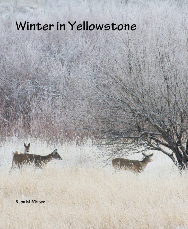 Bekijk Winter in Yellowstone op R. en M. Visser.