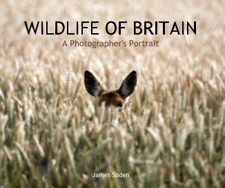 WILDLIFE OF BRITAIN A Photographer's Portrait book cover