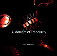 A Moment of Tranquility book cover