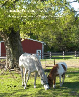 Gentle Perspectives Photographs and poems of Orange, Connecticut book cover