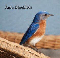 Jan's Bluebirds book cover