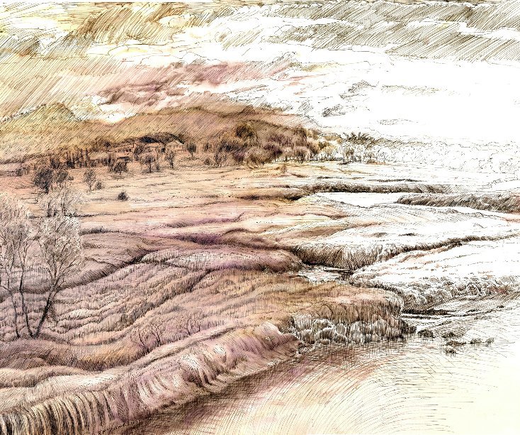 View Drawings & Watercolours 1 by Ron McBurnie