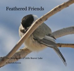 Feathered Friends book cover
