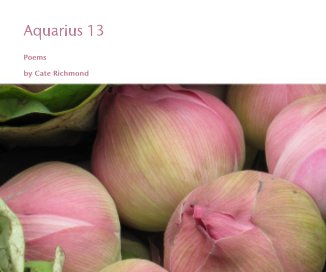 Aquarius 13 book cover