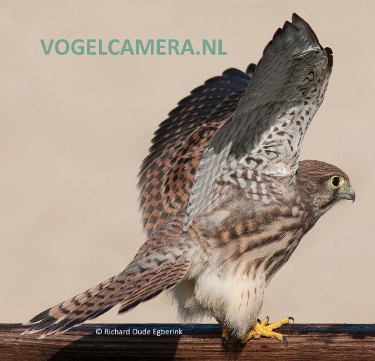 Ver VOGELCAMERA.NL por © Richard Oude Egberink
