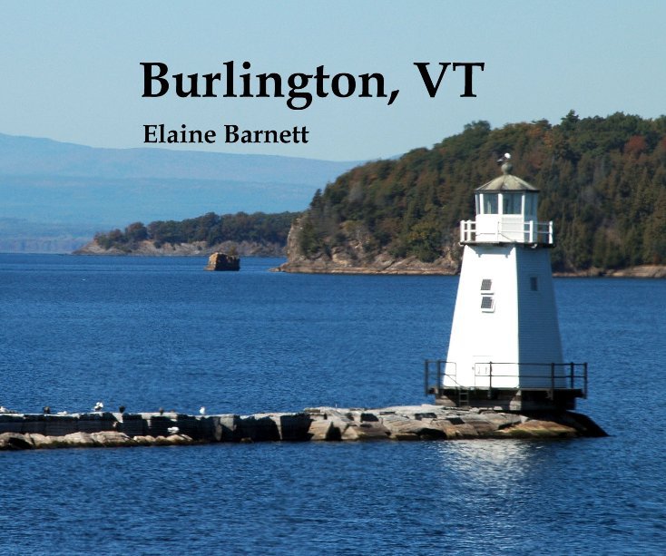 View Burlington, VT by Elaine Barnett