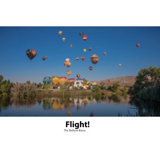 Flight! book cover