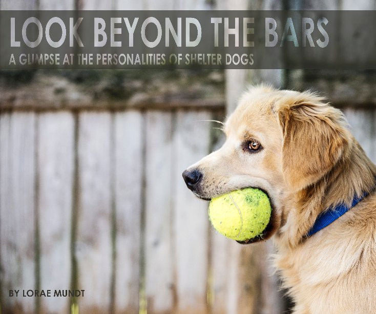 View LOOK BEYOND THE BARS by Lorae Mundt