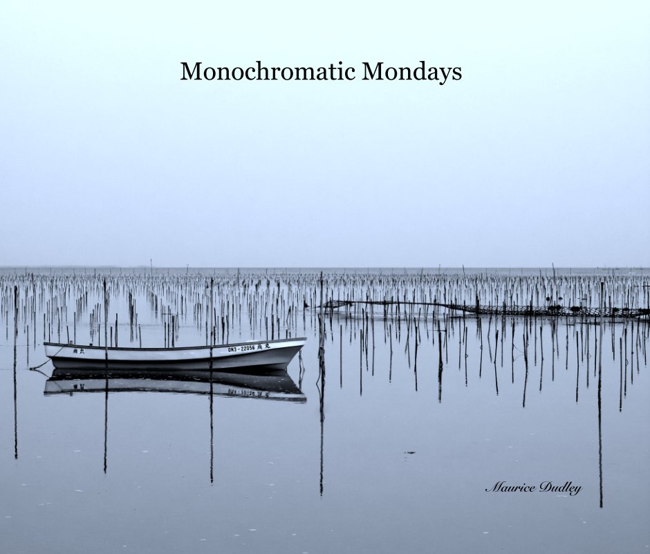View Monochromatic Mondays by Maurice Dudley