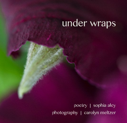Ver under wraps por poetry by sophia aley, photography by carolyn meltzer