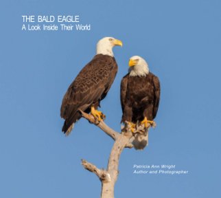THE BALD EAGLE    (Hardcover Imagewrap) book cover