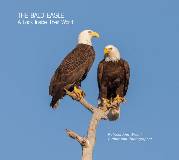 Ver THE BALD EAGLE    (Hardcover Imagewrap) por Patricia Ann Wright