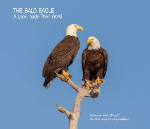 THE BALD EAGLE (Softcover) book cover