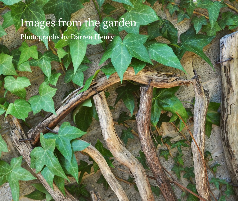 Ver Images from the garden por DarrenHGrove