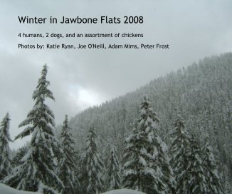 Winter in Jawbone Flats 2008 book cover