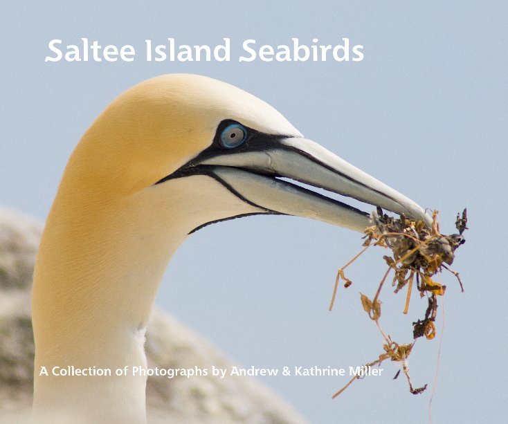 Ver Saltee Island Seabirds por A Collection of Photographs by Andrew & Kathrine Miller