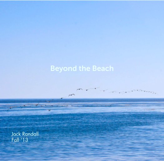View Beyond the Beach by Jack Randall
Fall '13