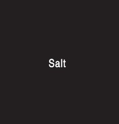 salt book cover