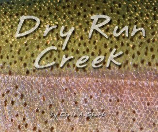 Dry Run Creek book cover