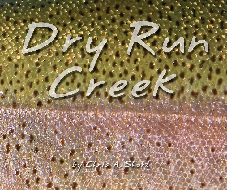 Ver Dry Run Creek por Chris A. Short Photography