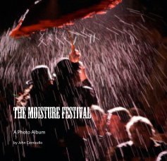 The Moisture Festival book cover