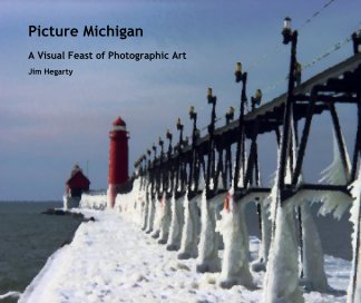 Picture Michigan book cover