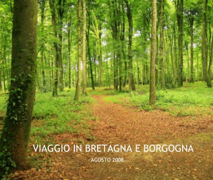 VIAGGIO IN BRETAGNA E BORGOGNA book cover