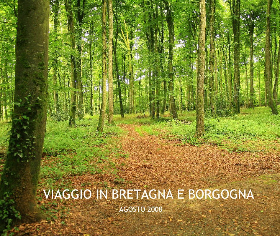 View VIAGGIO IN BRETAGNA E BORGOGNA by AGOSTO 2008