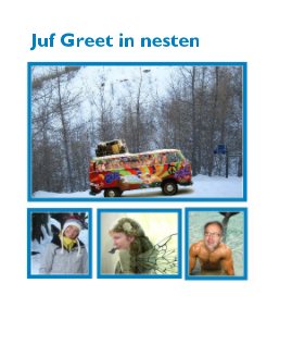 Juf Greet in nesten book cover