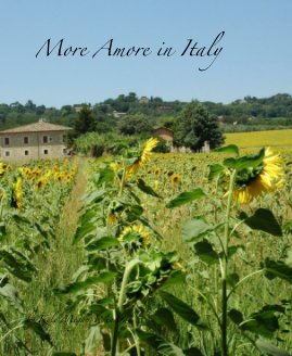 More Amore in Italy book cover