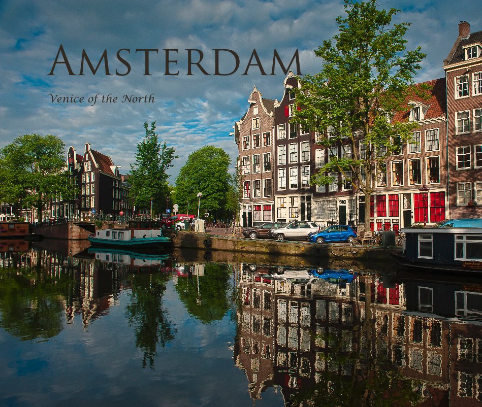 View Amsterdam by Sue Wolfe