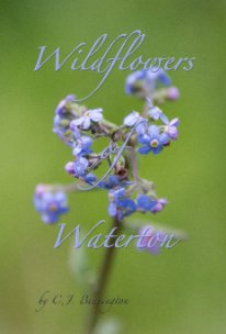 Wildflowers of Waterton book cover