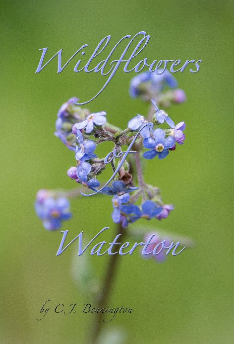Ver Wildflowers of Waterton por C.J. Bennington