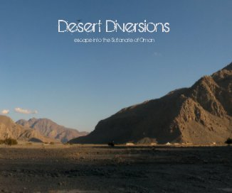 Desert Diversions book cover