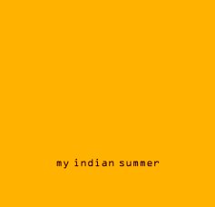 my indian summer book cover