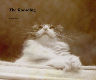 The Kneading By Todd Foltz book cover