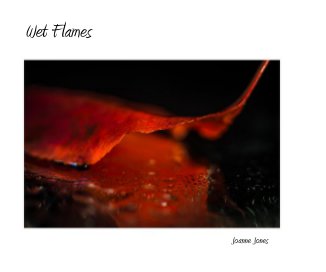 Wet Flames book cover