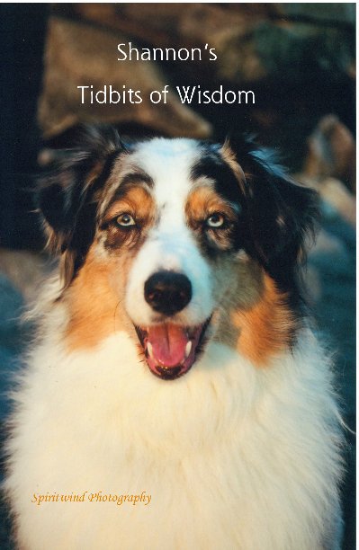 Ver Shannon's Tidbits of Wisdom por Bonnie K. Williams
