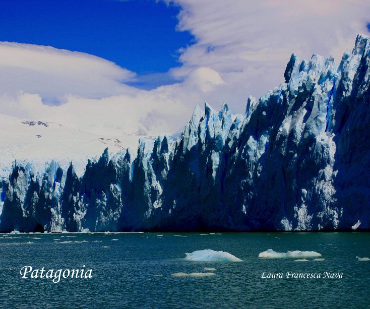 View Patagonia by Laura Francesca Nava