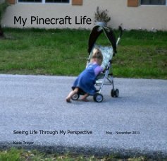 My Pinecraft Life book cover