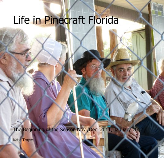 View Life in Pinecraft Florida by Katie Troyer