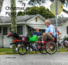 Christmas in Pinecraft Florida book cover