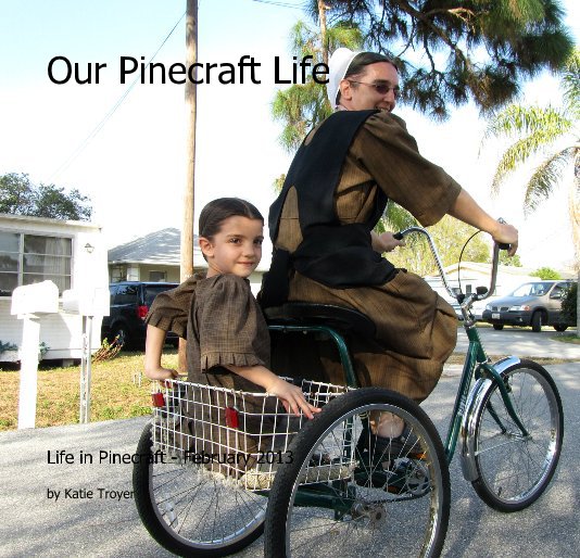 View Our Pinecraft Life by Katie Troyer